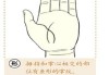 手纹断掌吉凶，解析手相密码背后的秘密