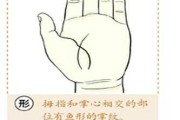 手纹断掌吉凶，解析手相密码背后的秘密