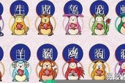怎么查今天生肖运势详解