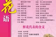 今日玫瑰花生肖运势，花语与 Compatibility分析