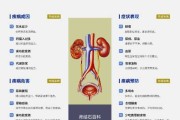 揭秘之谜，哪些布局容易引发肾结石？