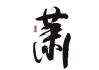 姓萧宝宝取名，传统与现代的结合