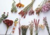 干花，家居中的神秘能量