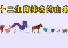 十二生肖运势解析，each year’s unique path