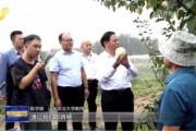 文昌吉时实业，机遇与