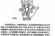 如何通过手部特征吉凶，揭秘手掌秘密，掌握家居运势