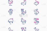 生肖猴子时运，性格与运势解析