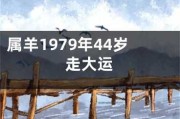 生肖羊45岁运势解析，事业与健康的关键点