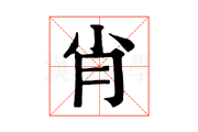 肖姓名字，吉凶查询与姓名学解析