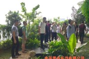金茂家具城开业大吉，迈向新未来的起点
