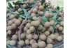 桂姓宝宝取名字，传统与现代的融合