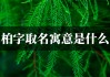 柏宝宝取名指南，好听又寓意深远的名字推荐
