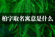 柏宝宝取名指南，好听又寓意深远的名字推荐
