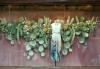 厨窗，植物选择与布局之道