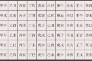 2023年八字测算，解读天干地支，洞察未来趋势