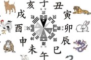 生肖是什么