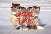 姓刘虎男宝宝取名字，传统与现代的结合