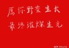 礼佛求签文案，温暖祝福，心灵之约