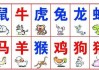星座运势与生肖马配对，解读天命之数