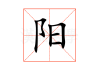 仔的生肖运势解析，事业与感情的双丰收