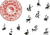 十二生肖2009年运势详解，运势起伏，把握机遇