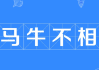 除了牛还有什么牛