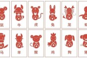 立春兔女宝宝取名指南