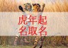 12月虎宝宝取名指南，寓意与创意并重