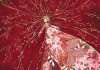 18年10月怀孕吉时，astrology与科学的结合分析