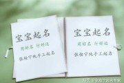 牛年男宝宝取名文什么