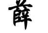 薛姓宝宝秋天取名指南，传统与现代结合