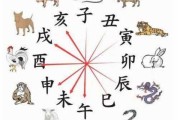 属相相配对吉凶表，揭秘生肖配对背后的奥秘与智慧