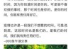好，用户让我写一篇关于唐姓牛宝宝取名怎么取的文章，先写标题，再写内容，内容不少于844个字。首先，我需要确定标题，要吸引人又专业。考虑到是取名指导，标题可以是唐姓牛宝宝取名指南，传统与现代结合的艺术