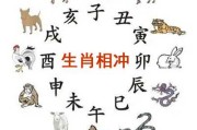 近一周生肖运势查询，运势解析与建议