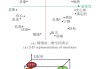 情感签的解码之旅，从符号到心灵的解惑