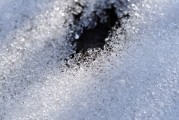 解梦梦见地上雪融化了，解析与启示
