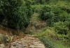 岳麓山道观求签灵，一段道家文化的传承之旅