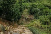 岳麓山道观求签灵，一段道家文化的传承之旅