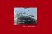 高僧算命为何不灵？原因或在修行之上