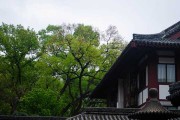 动土黄道吉日吉时，传统建筑与仪式中的重要时刻