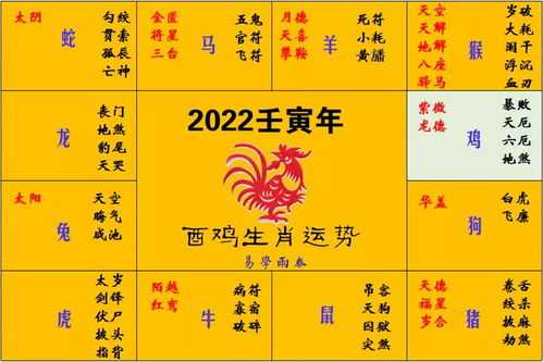 三月二日生肖运势解析，事业与健康 focus on your future,三月二日生肖运势解析,事业与健康未来规划,第1张