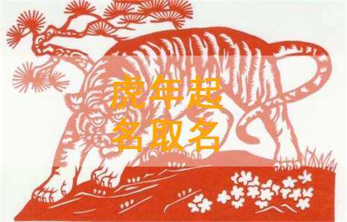 虎宝宝取名姓章，传统与现代的结合,传统与现代,第1张