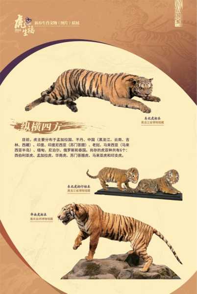 壬寅虎年每日生肖运势图片解析与祝福,每日生肖运势,生肖祝福,第1张