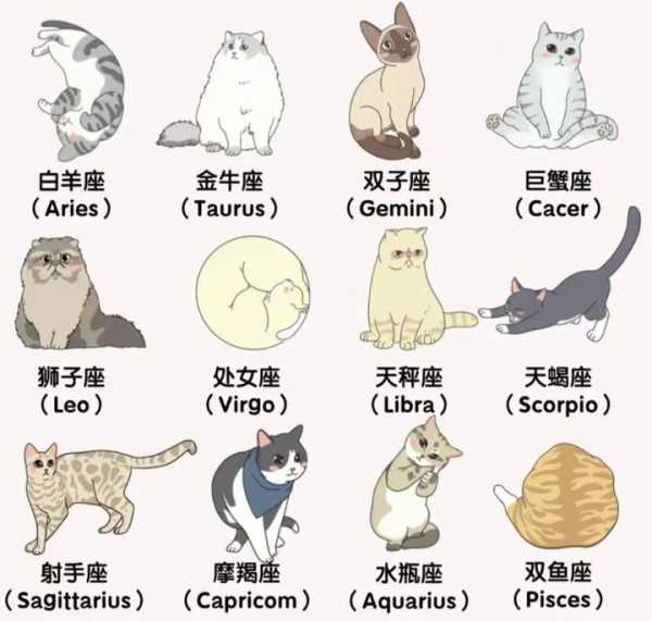 十二星座，我该养什么宠物？,十二星座,第1张