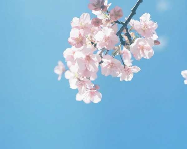 岁月静好，时光正好，17年6月剖腹产的意义,吉时,第1张
