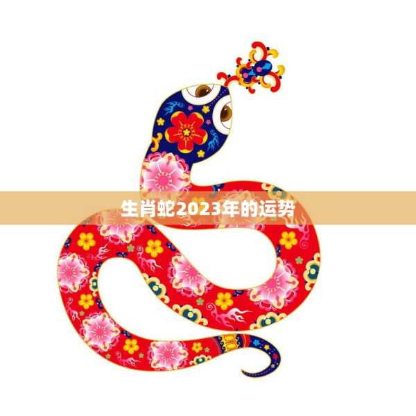 生肖蛇2021运势查询，事业与感情的双重机遇,象征,事业,光明,第1张