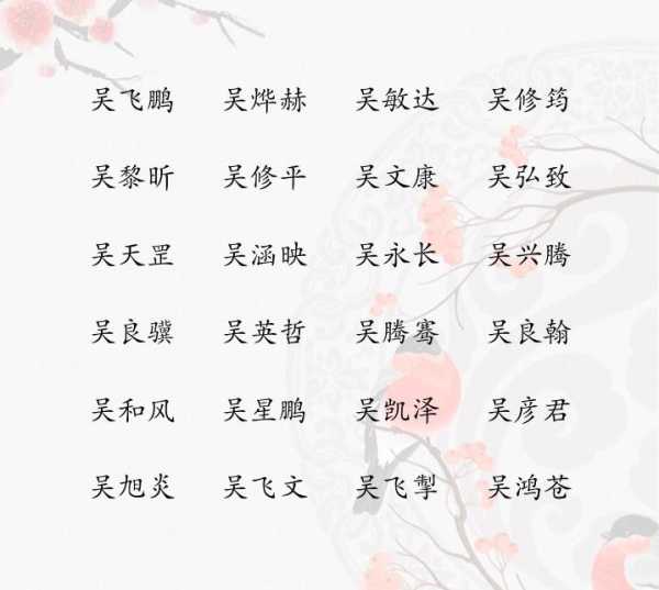 吴姓宝宝取名男名怎么取,寓意吉祥,第1张