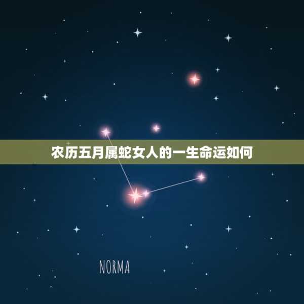 生肖运势图片女,命运,事业,象征,第1张