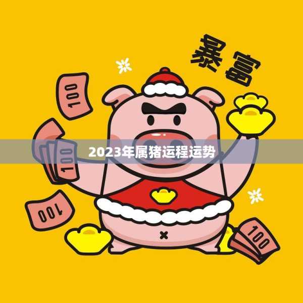 2023年8月生肖猪运势解析，事业与感情的双丰收,事业,第1张