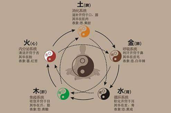 八字命理与身体状况的玄妙关联,命运,八字,健康状况,第1张
